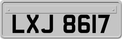 LXJ8617