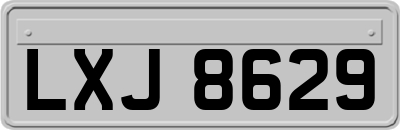 LXJ8629