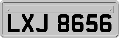 LXJ8656