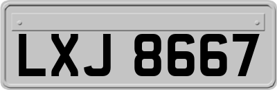 LXJ8667