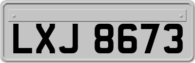LXJ8673