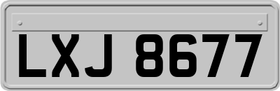 LXJ8677