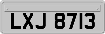 LXJ8713