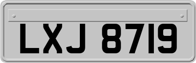LXJ8719