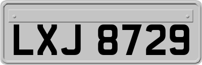 LXJ8729