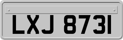 LXJ8731