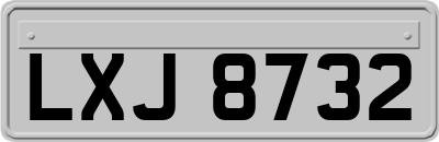 LXJ8732