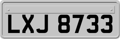 LXJ8733