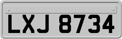 LXJ8734
