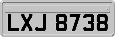LXJ8738