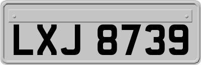LXJ8739