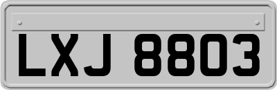 LXJ8803