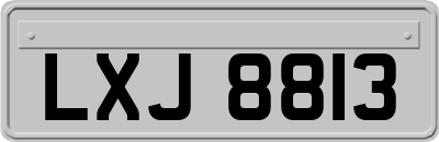 LXJ8813