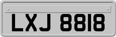 LXJ8818