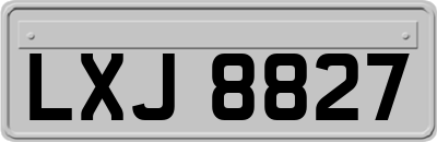 LXJ8827