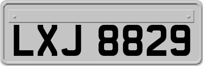 LXJ8829