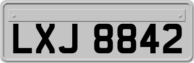 LXJ8842