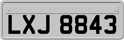 LXJ8843