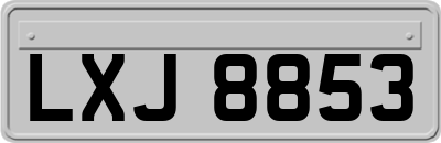LXJ8853