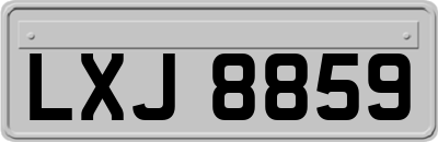 LXJ8859