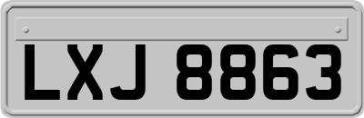 LXJ8863
