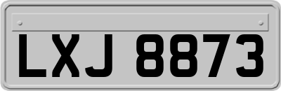 LXJ8873