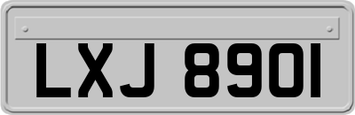 LXJ8901