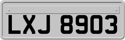 LXJ8903