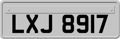 LXJ8917