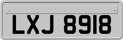 LXJ8918
