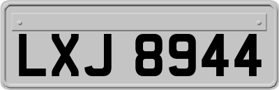 LXJ8944