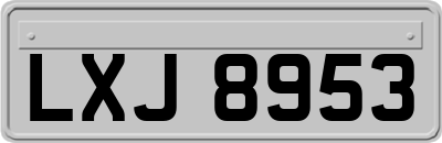 LXJ8953