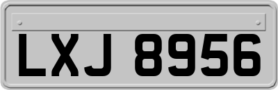 LXJ8956