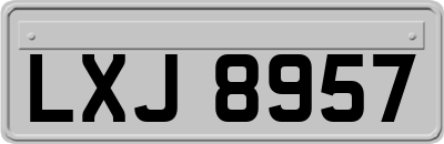 LXJ8957