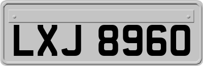 LXJ8960