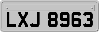 LXJ8963