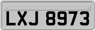 LXJ8973