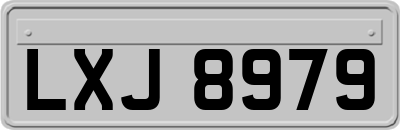 LXJ8979