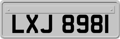LXJ8981