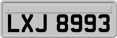 LXJ8993