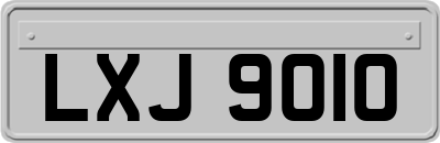 LXJ9010