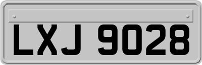 LXJ9028