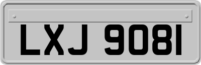 LXJ9081