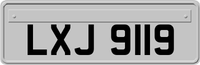 LXJ9119