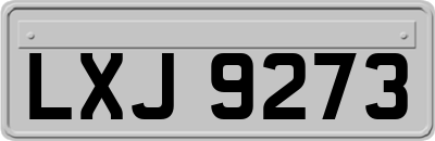 LXJ9273
