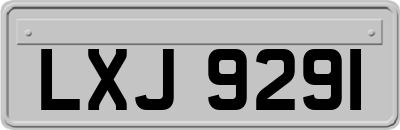 LXJ9291