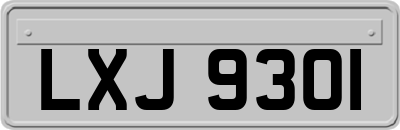 LXJ9301