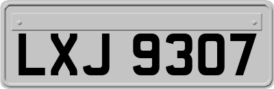 LXJ9307