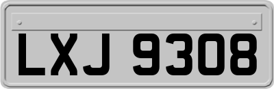 LXJ9308