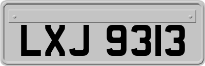 LXJ9313